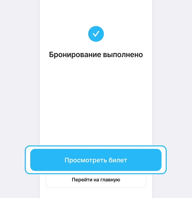 Экран завершения: под синей галочкой надпись «Бронирование выполнено», кнопка «Просмотреть билет» обведена синей рамкой, ниже кнопка «Перейти на главную»